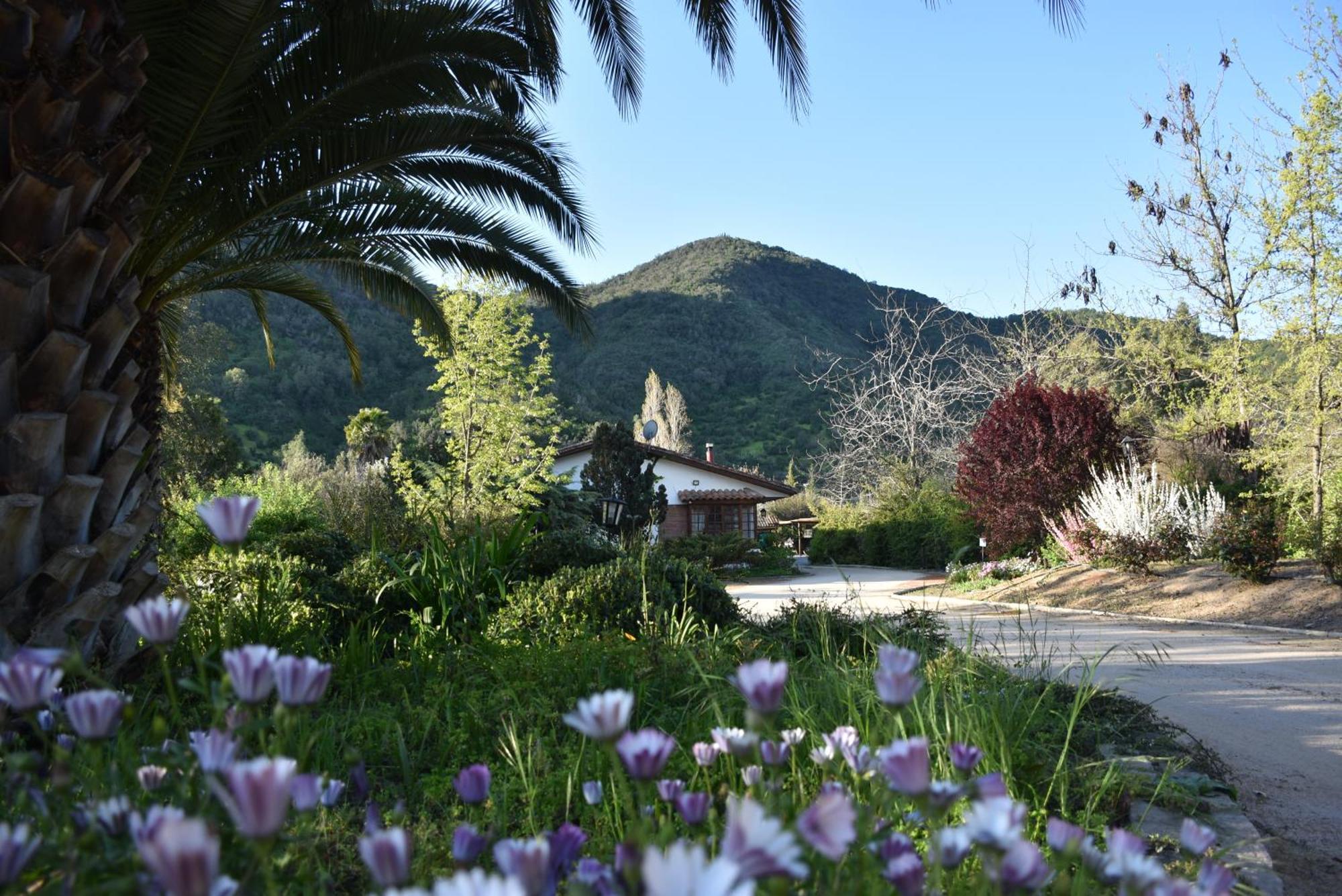 Hotel Boutique Solaz Bella Vista De Colchagua Santa Cruz Zewnętrze zdjęcie