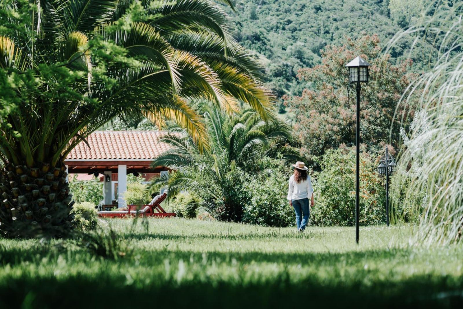 Hotel Boutique Solaz Bella Vista De Colchagua Santa Cruz Zewnętrze zdjęcie
