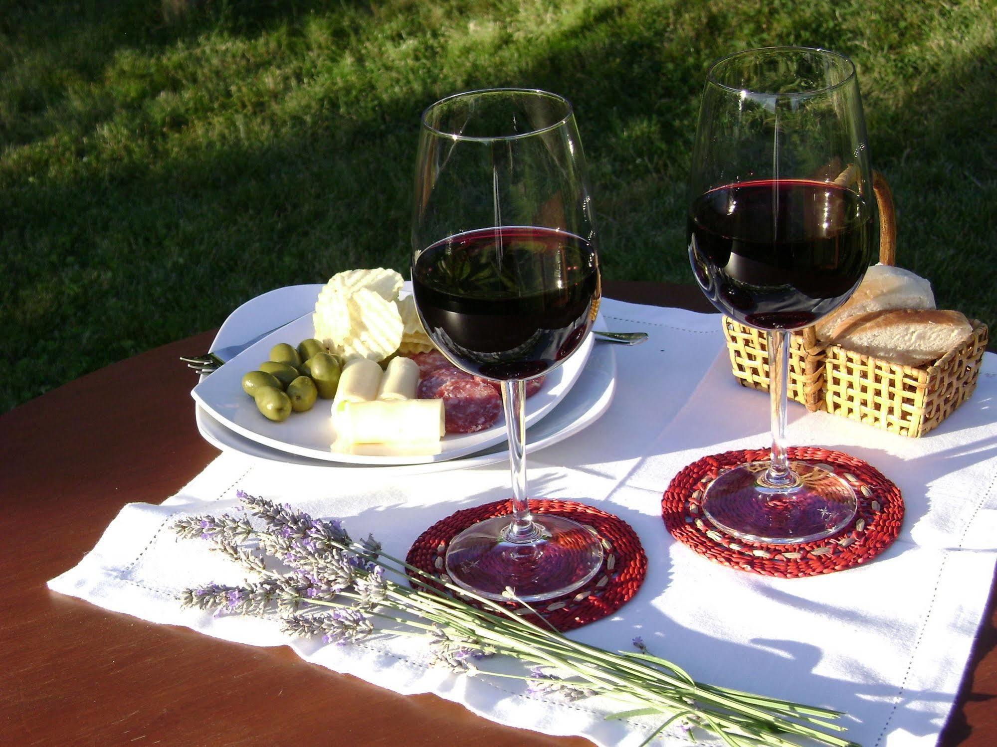 Hotel Boutique Solaz Bella Vista De Colchagua Santa Cruz Zewnętrze zdjęcie