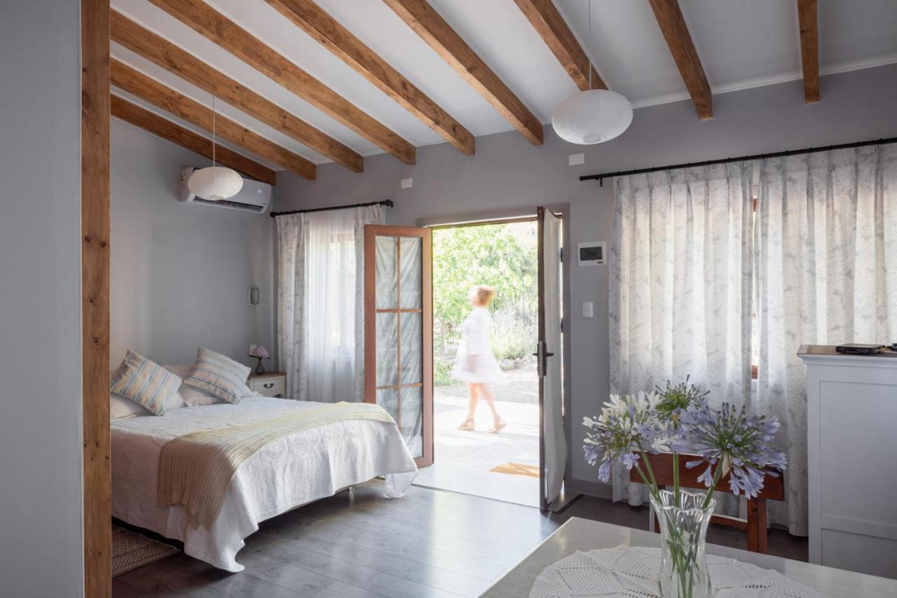 Hotel Boutique Solaz Bella Vista De Colchagua Santa Cruz Zewnętrze zdjęcie